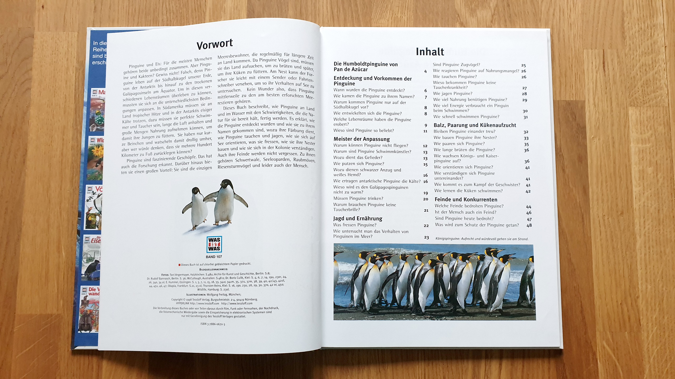 Meeresbiologe Boris Culik - Was können wir von Pinguinen lernen?